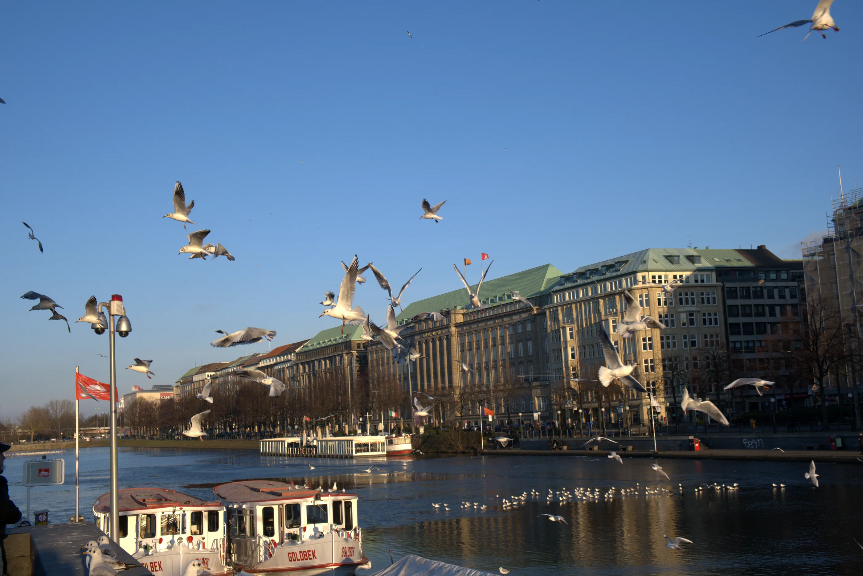Binnenalster am Jungfernstieg mit Alsterdampfern und Möwen
